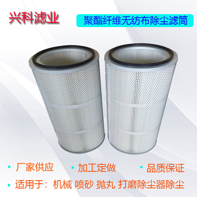 帶護網(wǎng)拋丸噴砂除塵濾芯